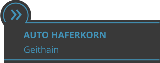  AUTO HAFERKORN  Geithain